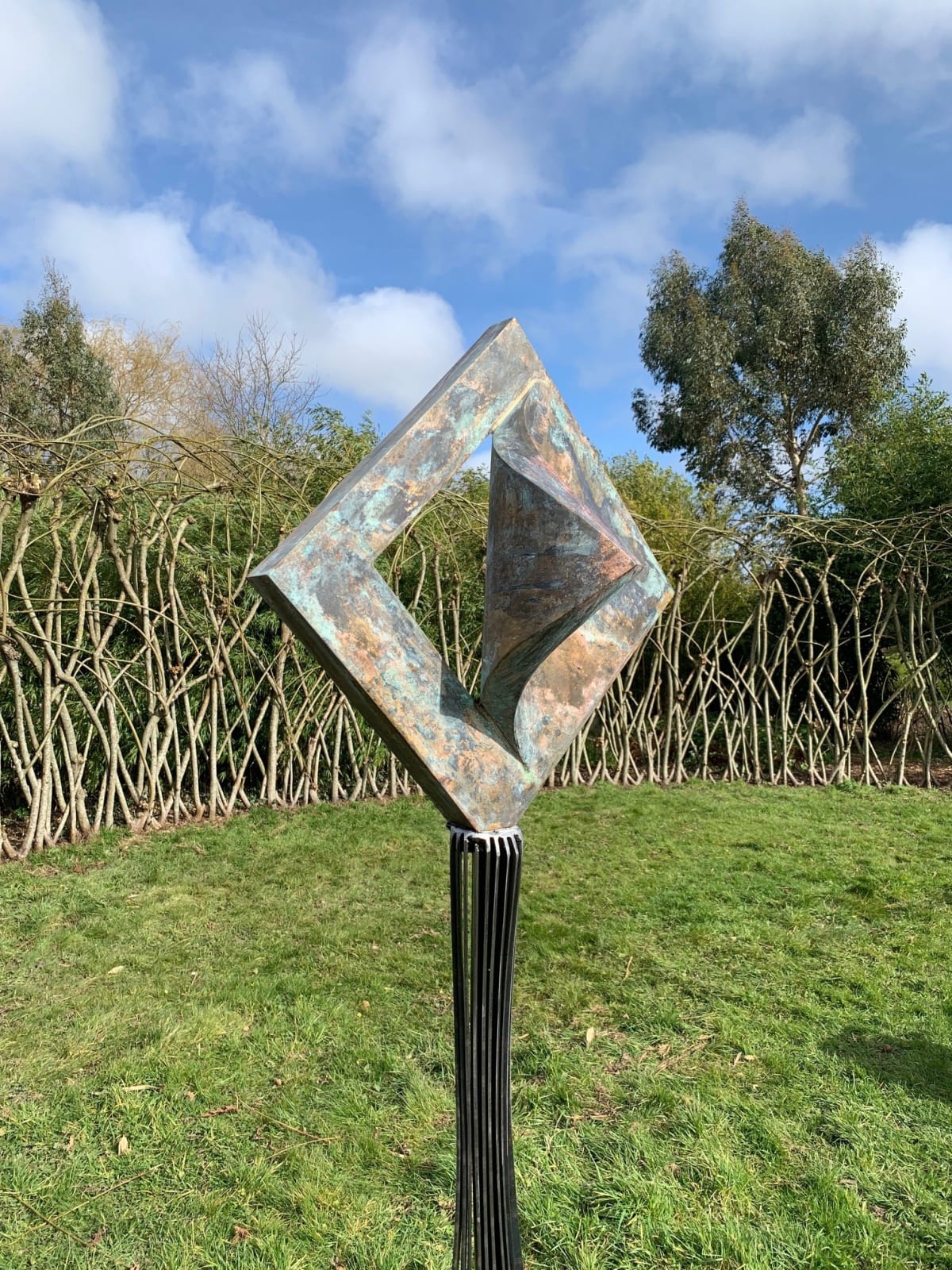 Ted Edley, Torn, 2022