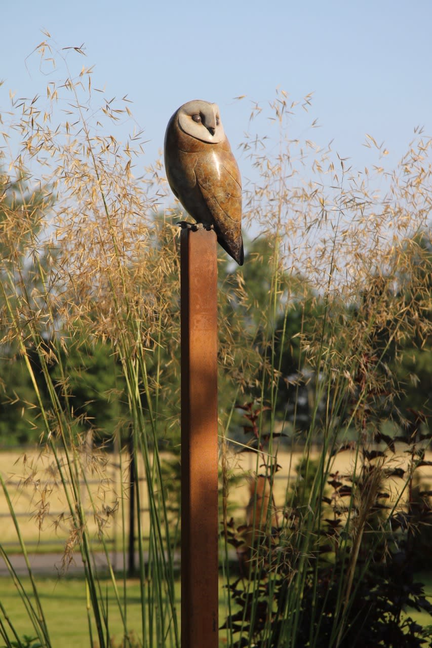 Adam Binder, Barn Owl , 2021