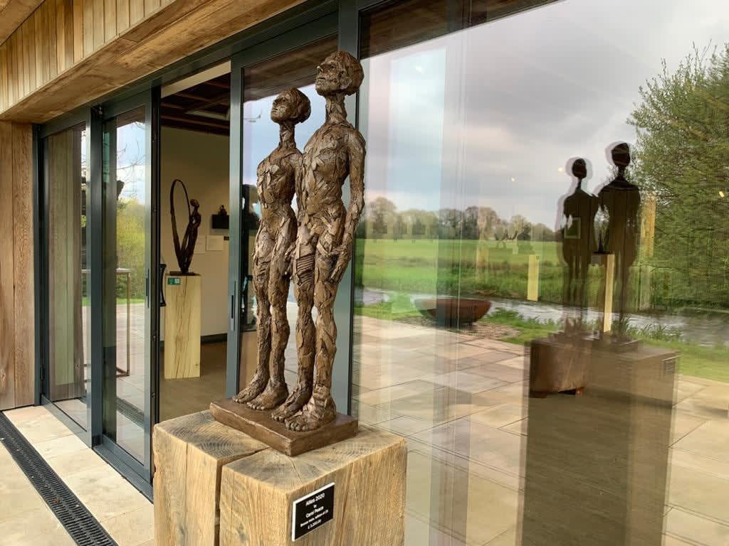 Carol Peace, Allies 2020