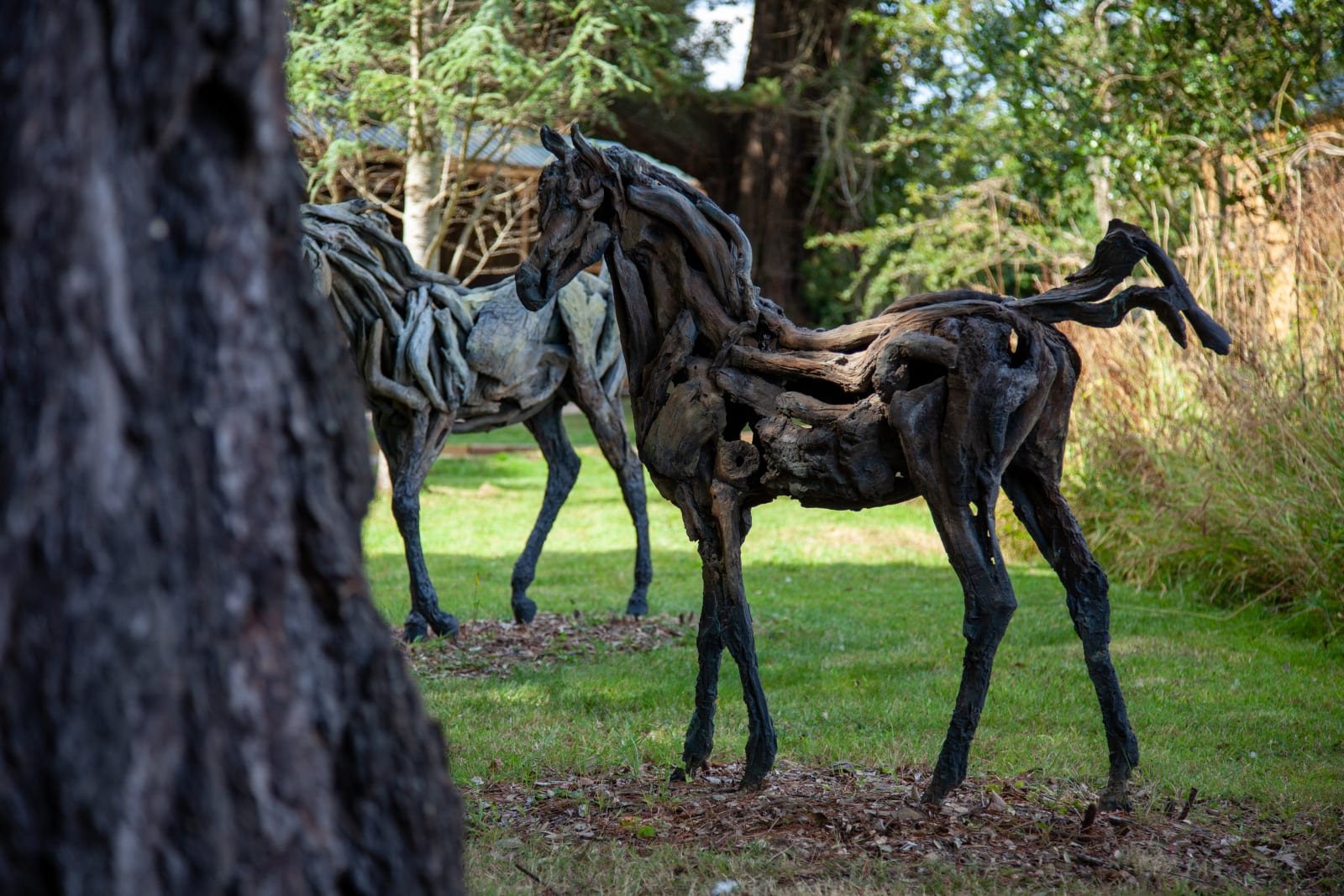 Heather Jansch, Sugar Plum