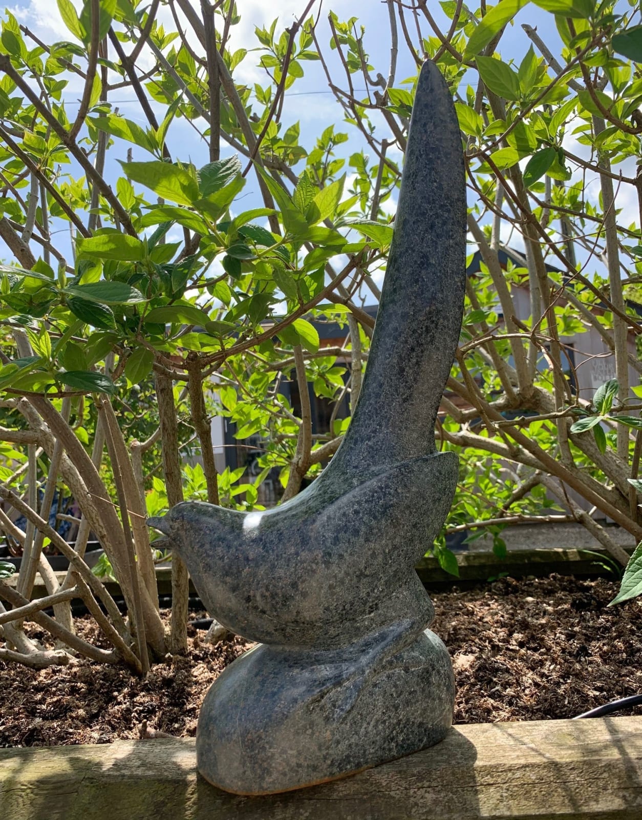 Jennifer Tetlow, Magpie