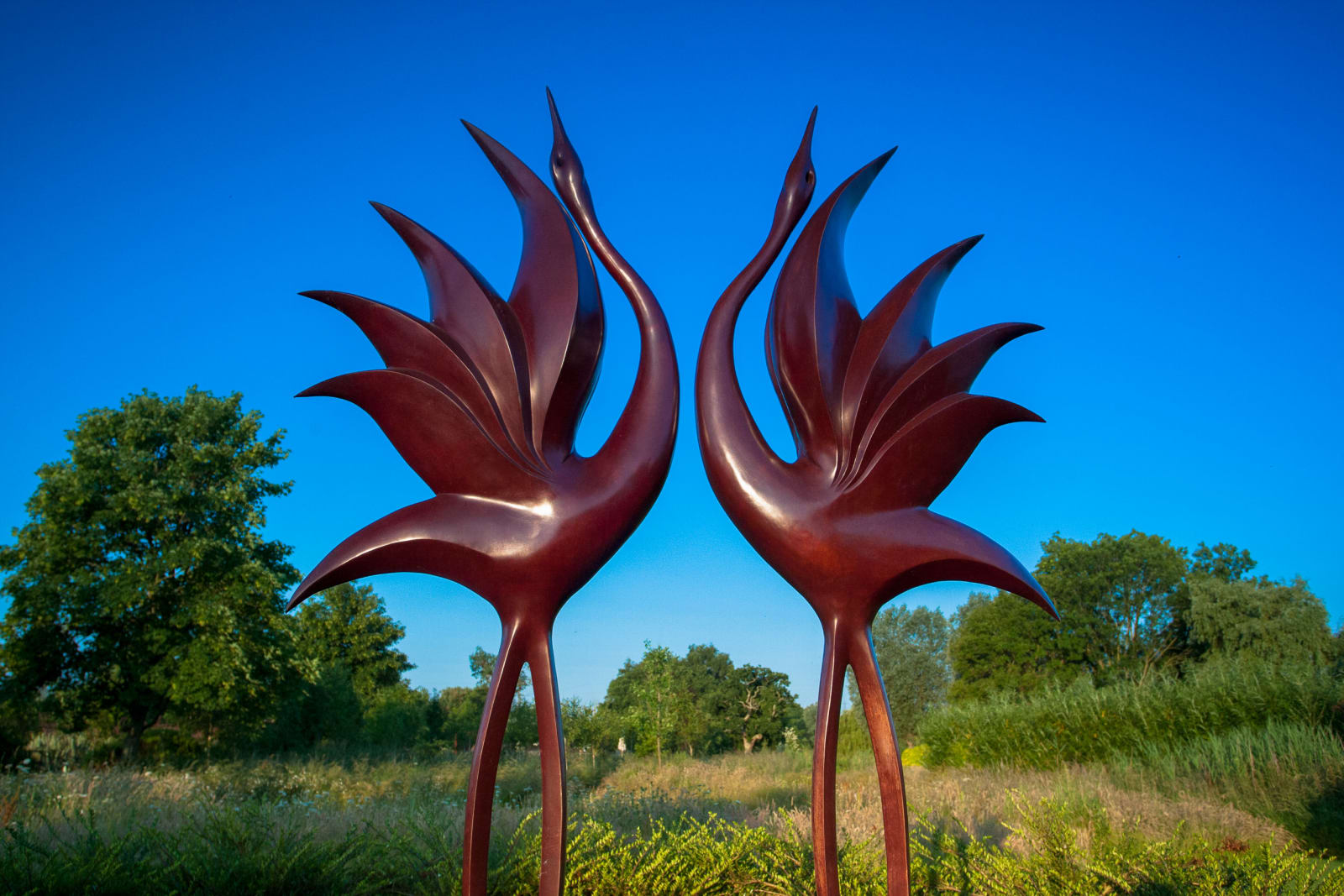Simon Gudgeon, Dancing Cranes