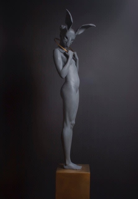 Rachel Ann Stevenson, The Light Trap