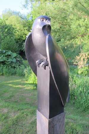 Paul Harvey, Peregrine Falcon