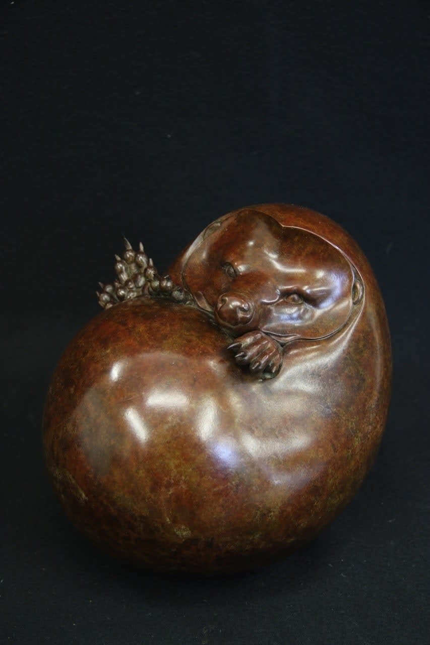 Adam Binder, Large Hedgehog, 2022