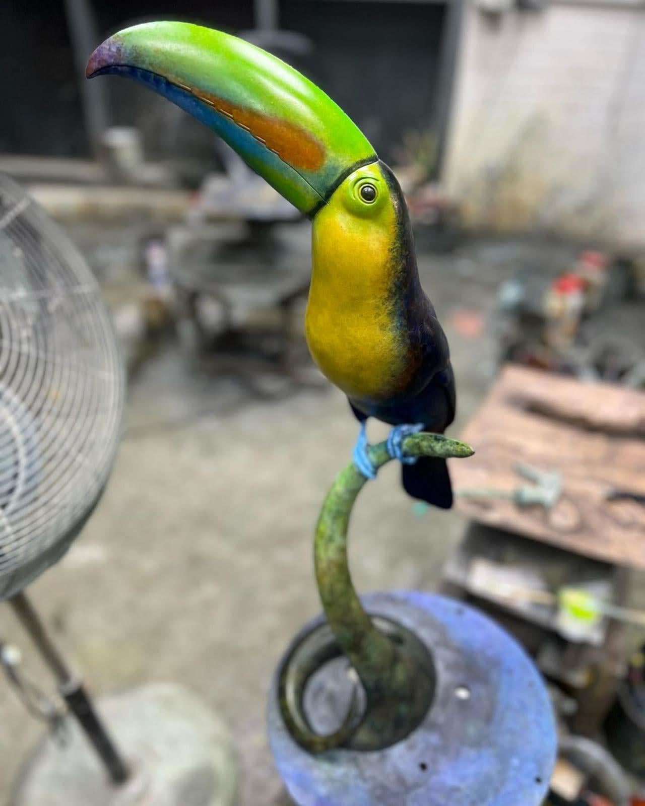 Adam Binder, Keel Billed Toucan, 2024