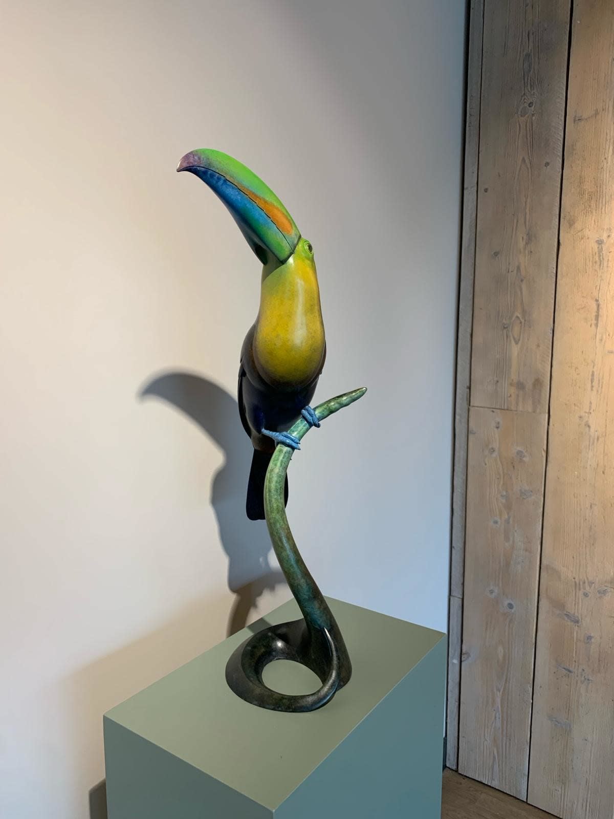 Adam Binder, Keel Billed Toucan, 2024