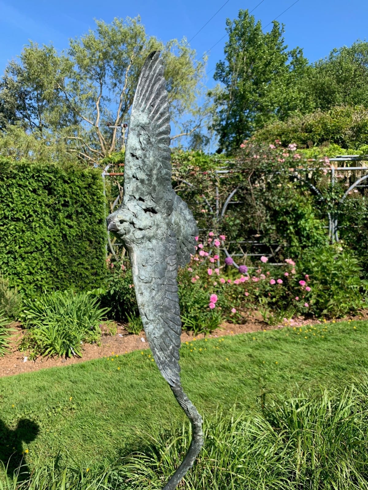 Fred Gordon, Peregrine Falcon