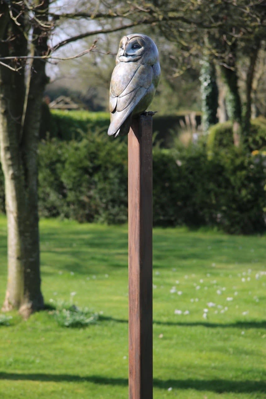 Adam Binder, Tawny Owl , 2022