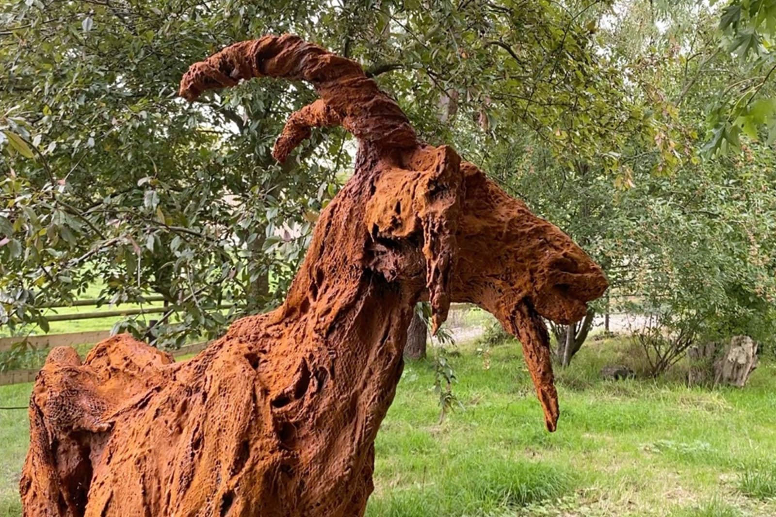 Jane Shaw, Sherlock the Mountain Goat