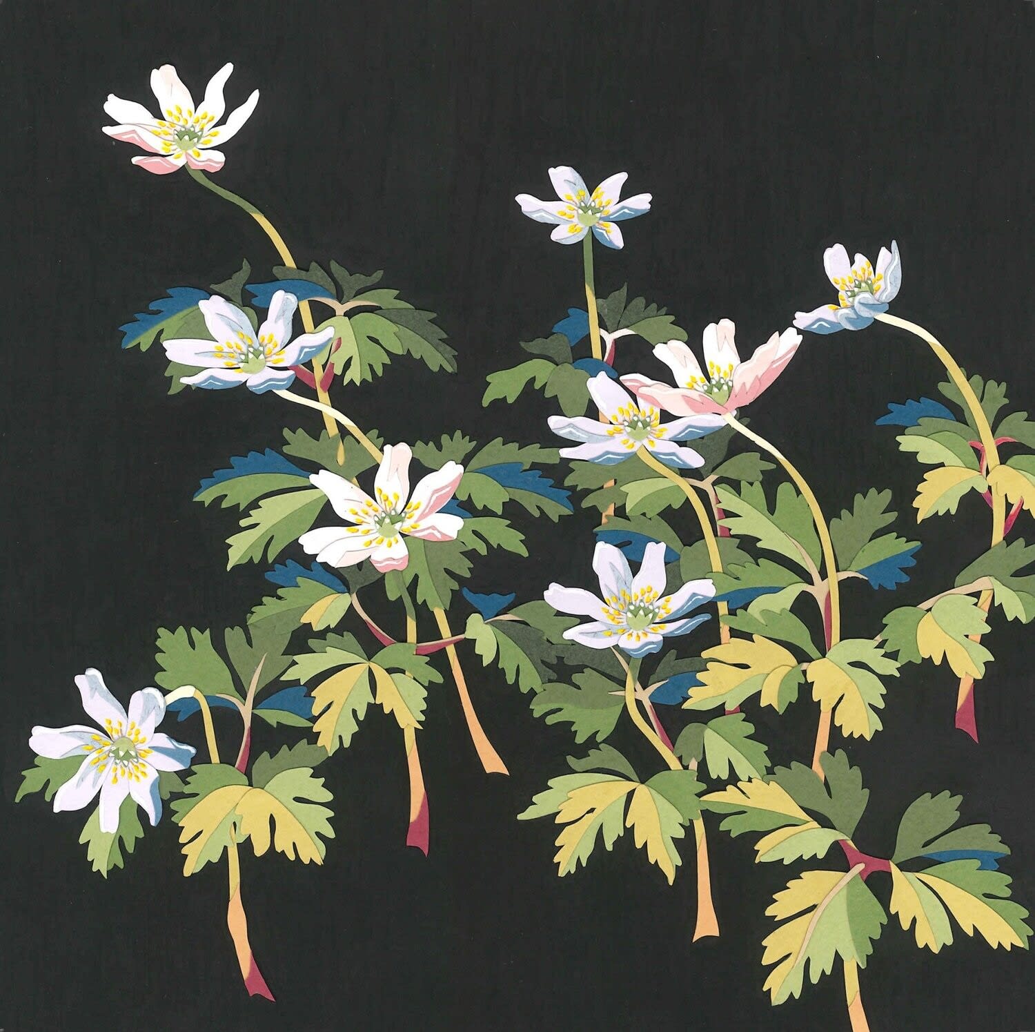Penny Brown, Wood Anemone