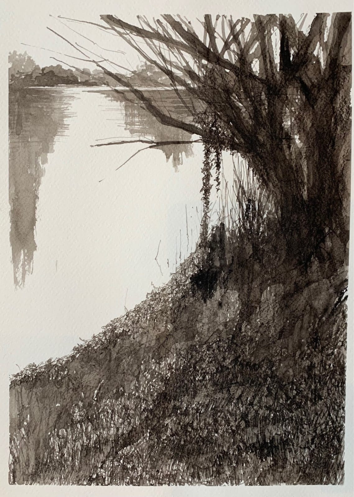 Stephen Bithell, Oak Gall #2, 2022