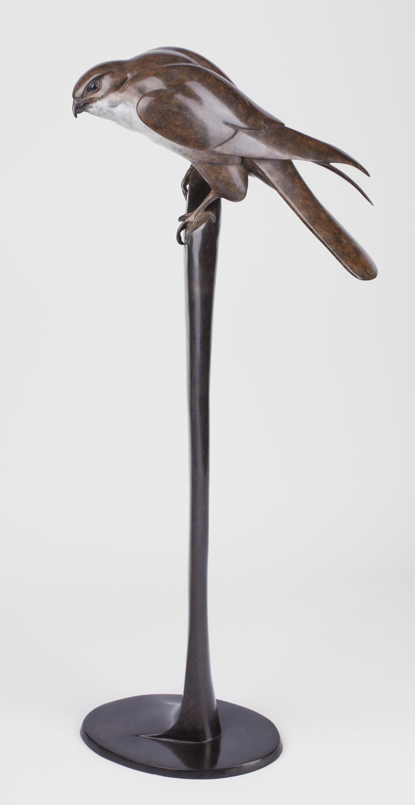 Carl Longworth, Kestrel