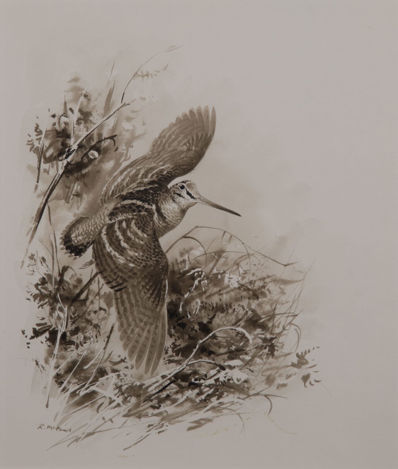Rodger McPhail, Woodcock Flying