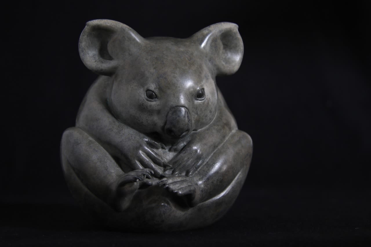 Adam Binder, Koala
