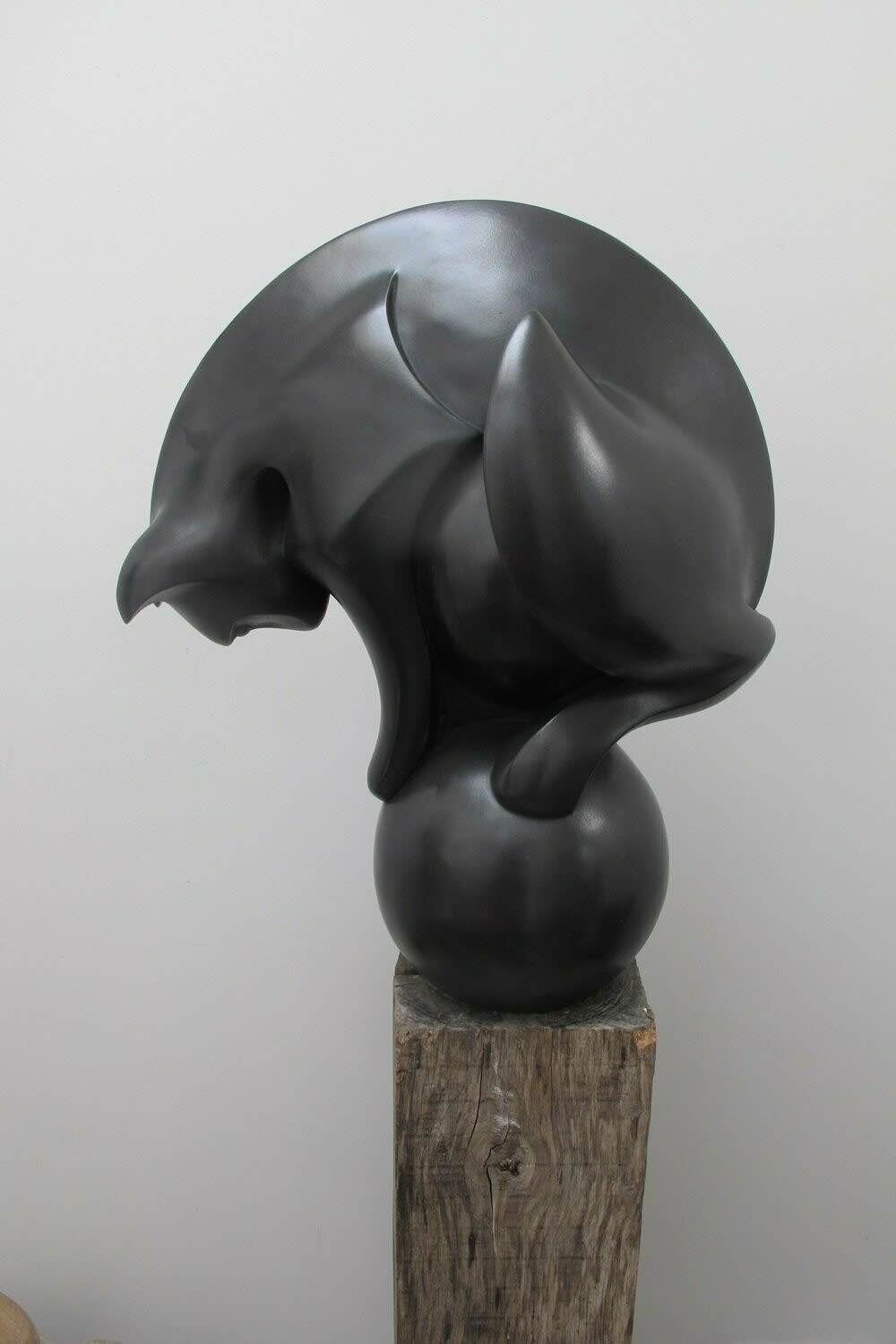 Paul Harvey, Cat on Ball