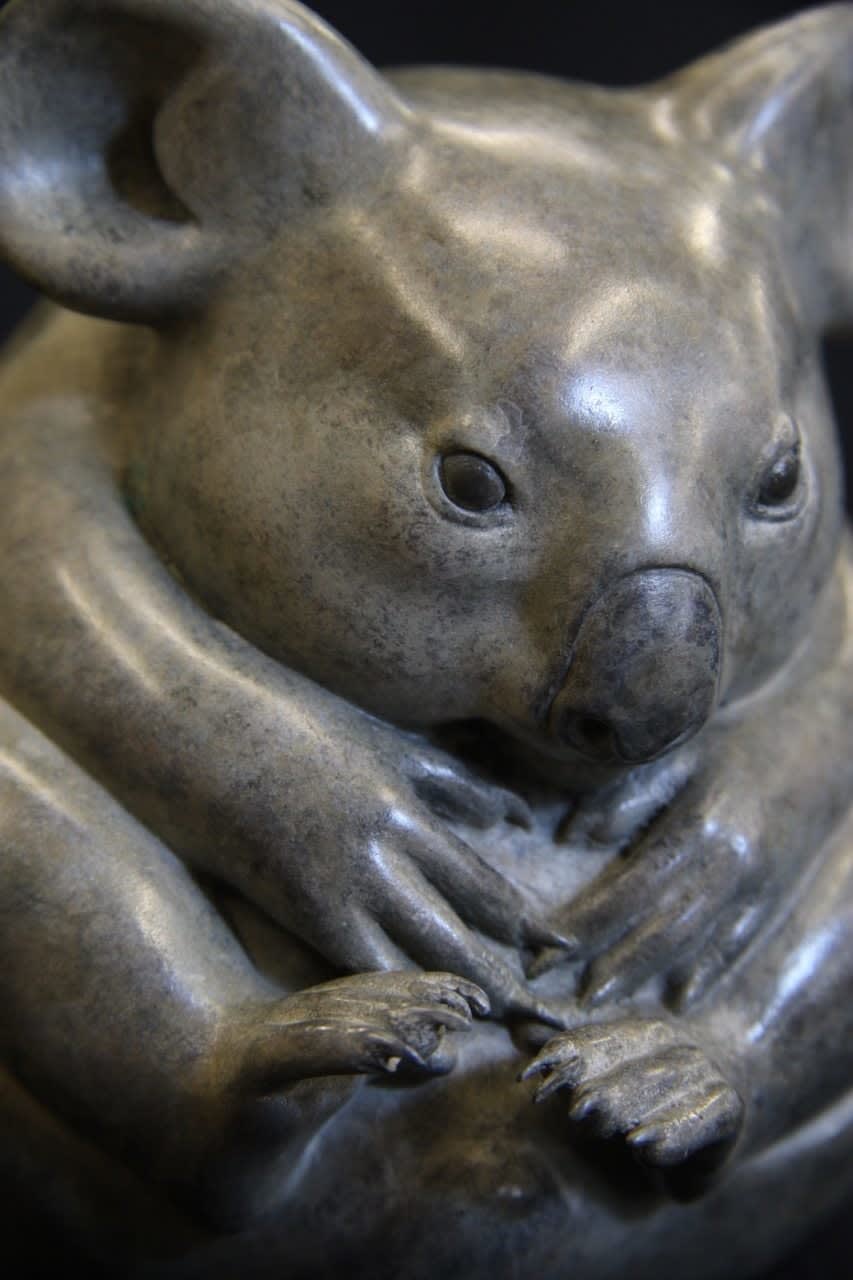 Adam Binder, Koala