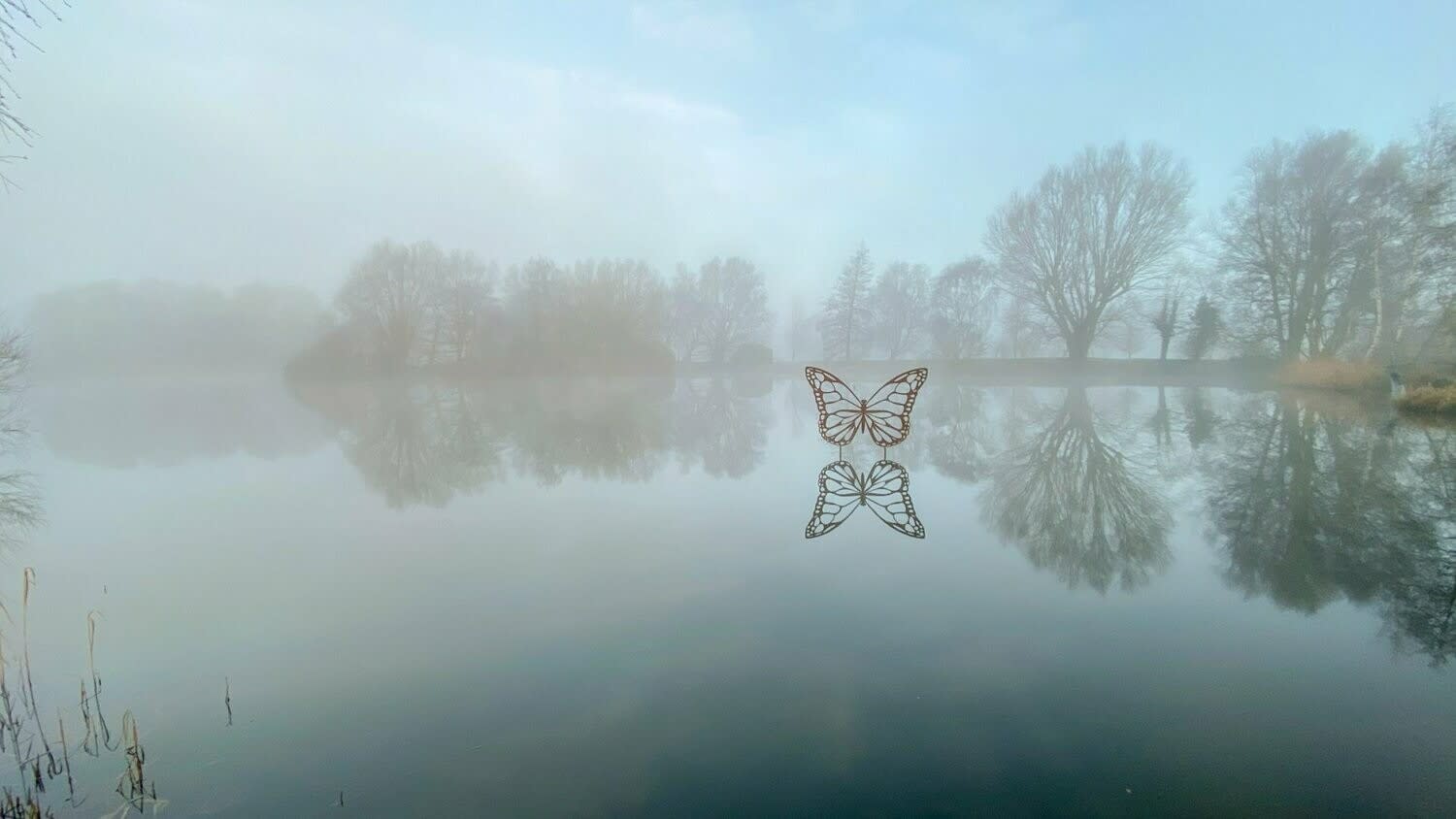 Simon Gudgeon, Butterfly