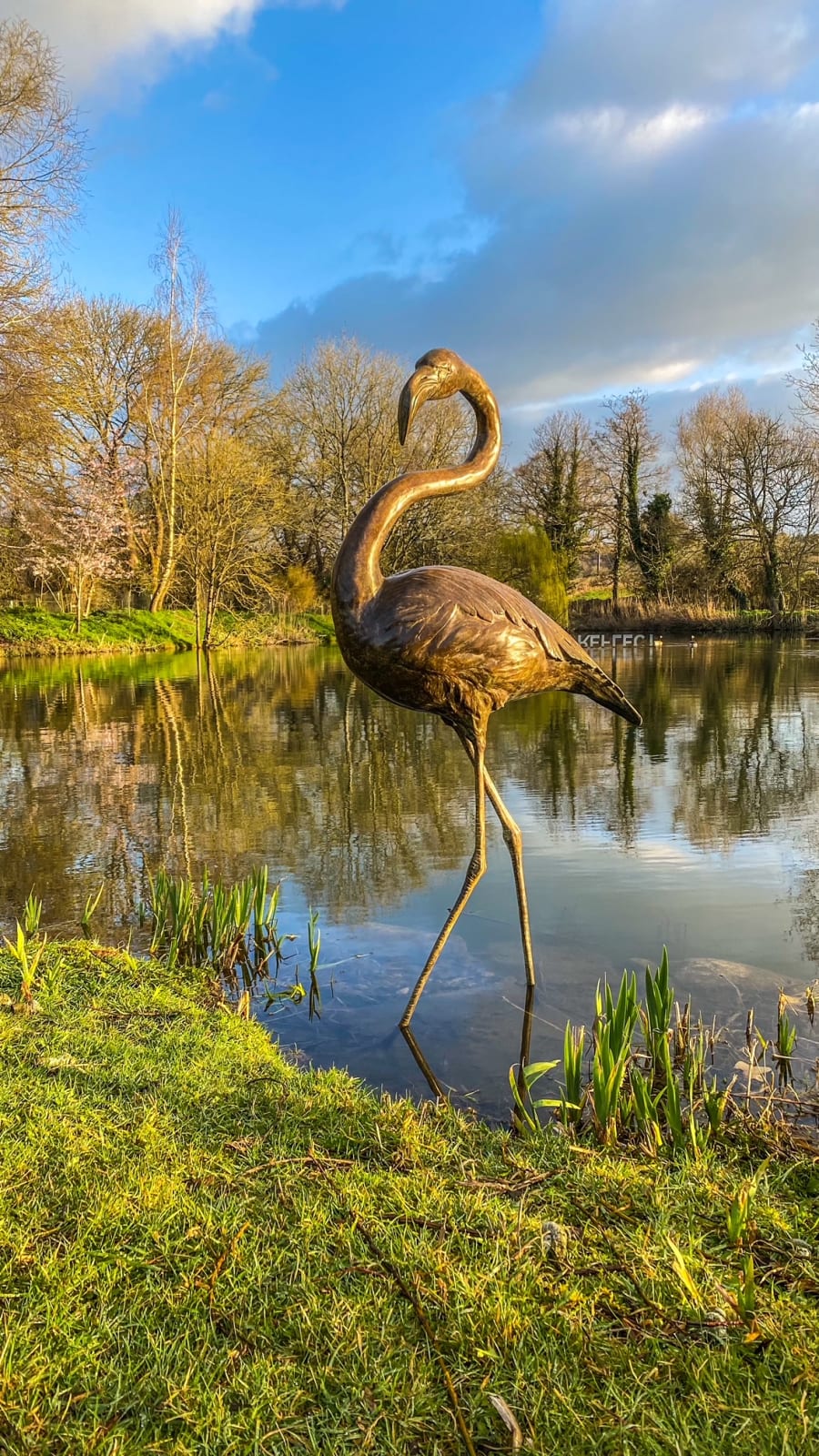 Gill Parker, Flamingo