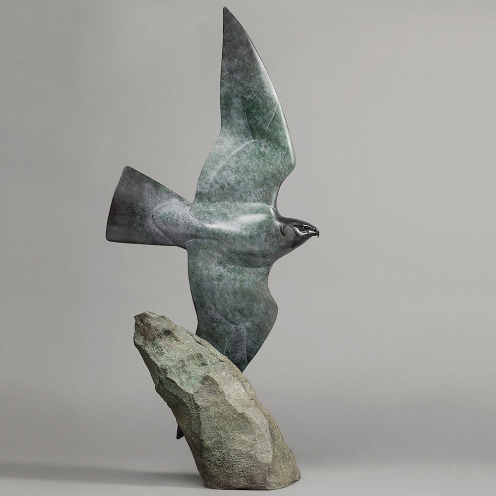 Nick Bibby, Peregine Falcon