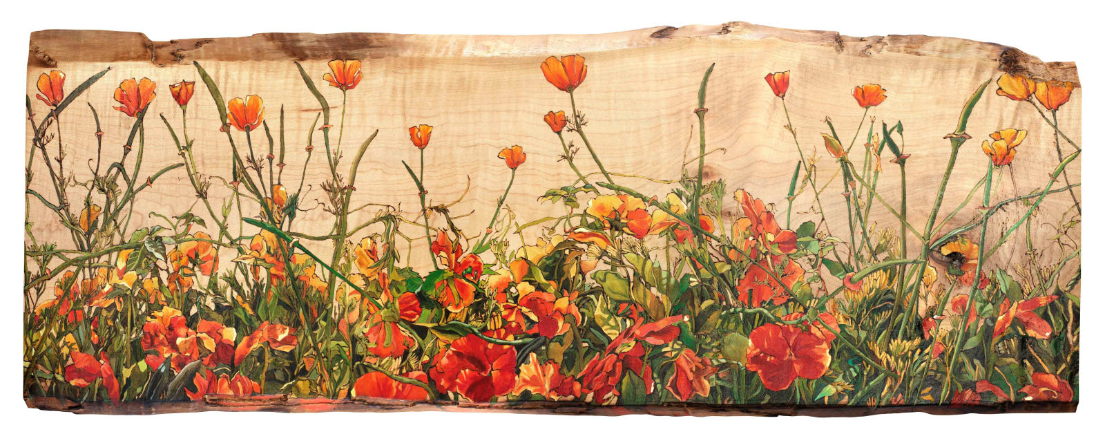 Tilia Holmes, California Sunlight