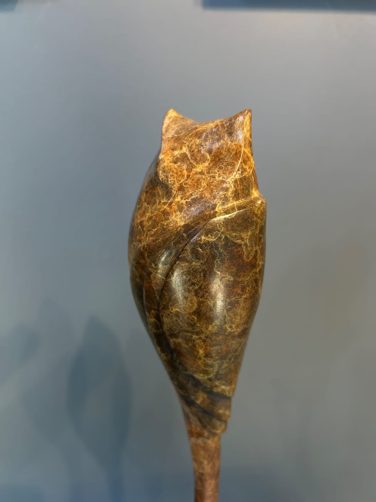 Marie Ackers, Le Petit Duc, 2024