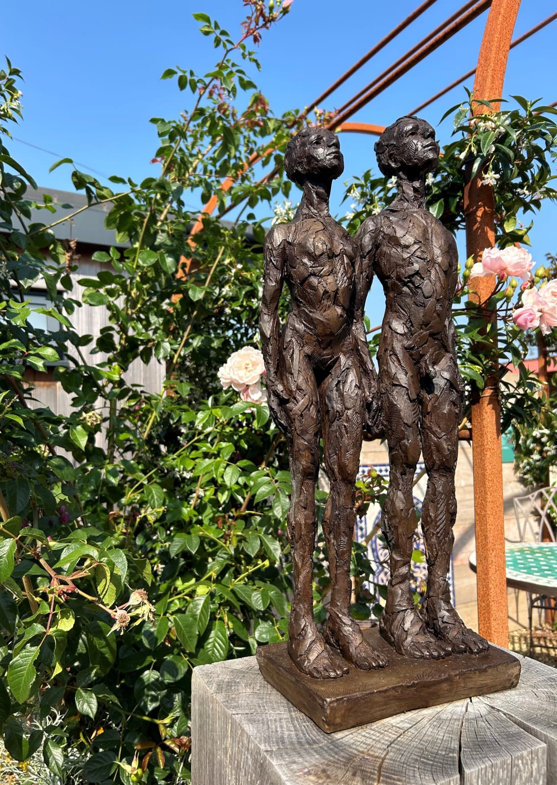 Carol Peace, Allies 2020