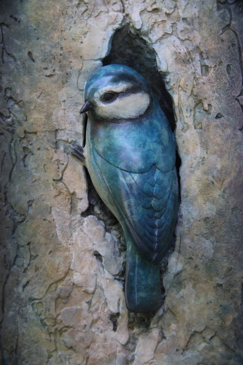 Adam Binder, Blue Tit Plaque, 2021