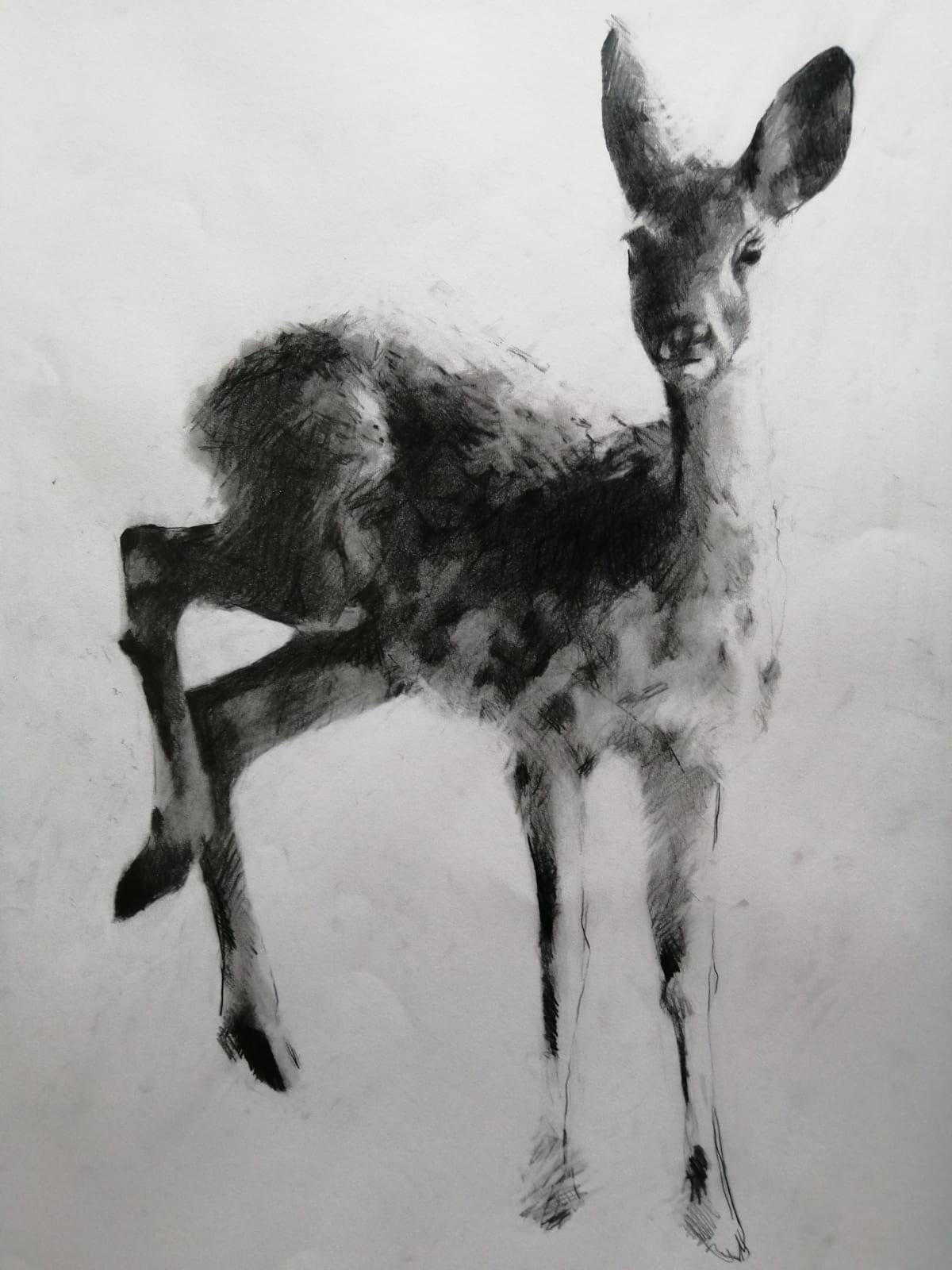 Adam Roud, Doe