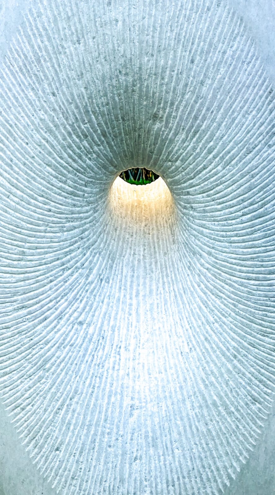 Jonathan Loxley, Chrysalis, 2019