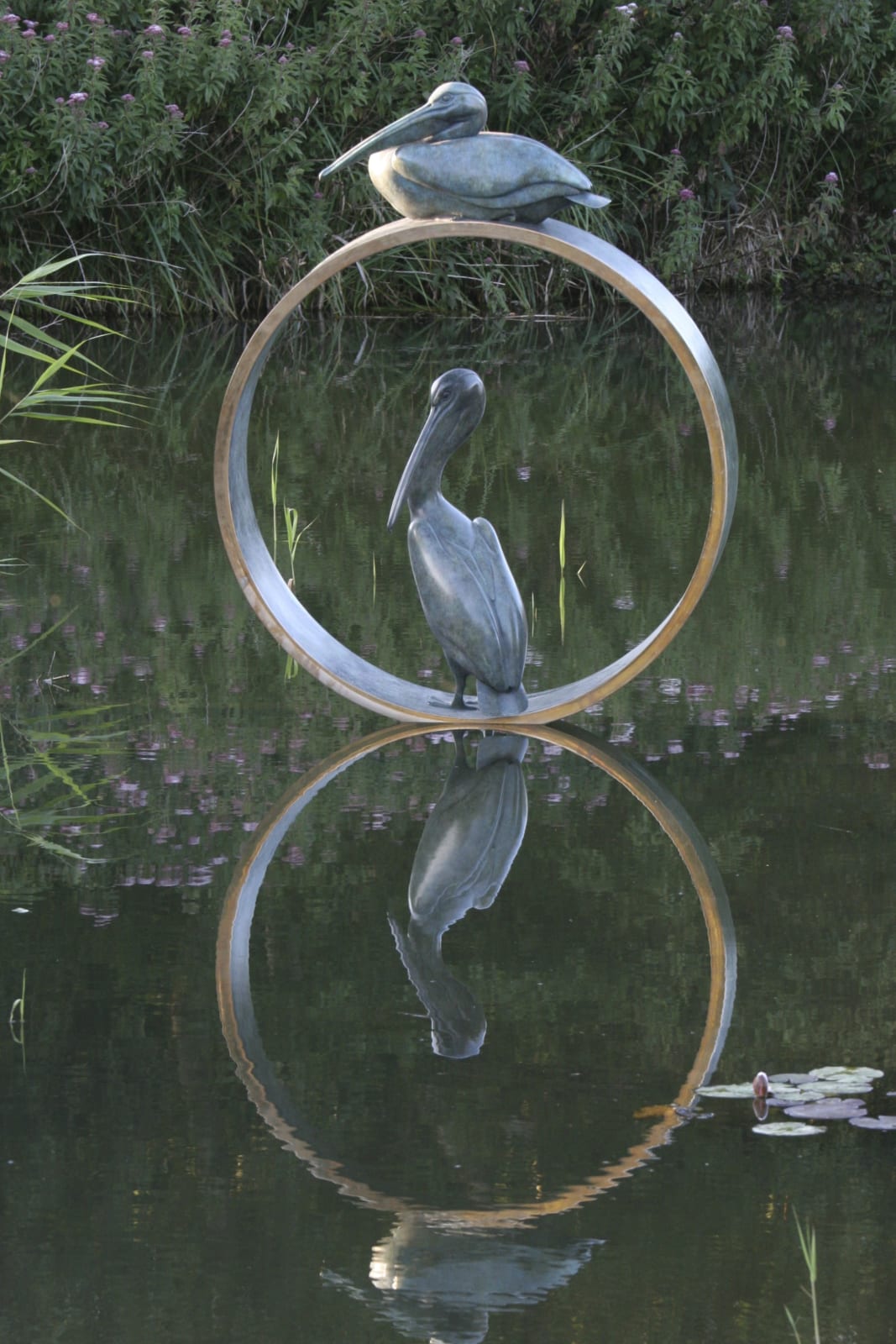 Simon Gudgeon, Pelicans
