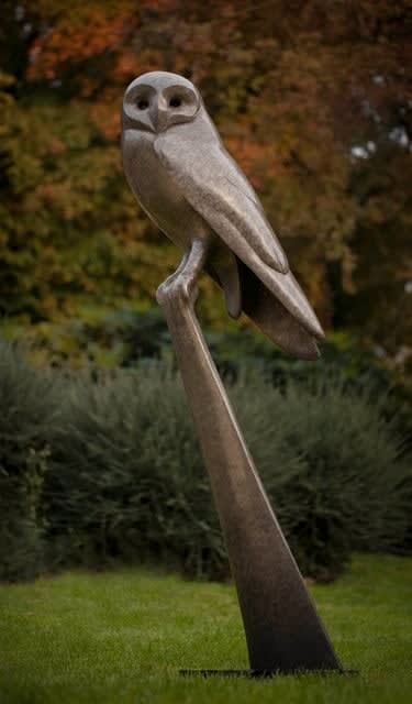 Carl Longworth, Barn Owl Resting