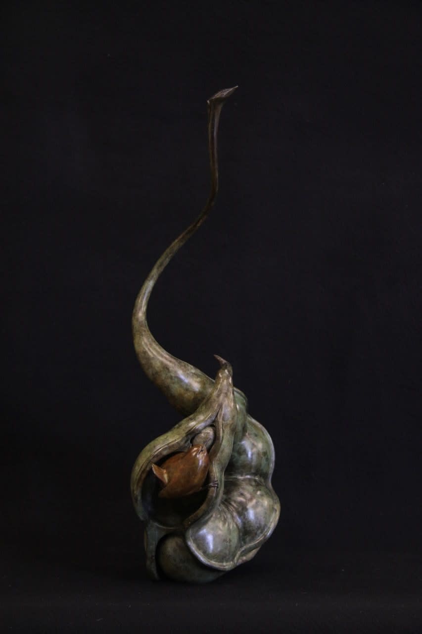 Adam Binder, Wren in a Pod