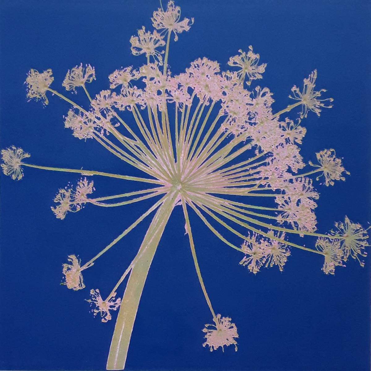Robin Moorcroft, Swaying Seedhead