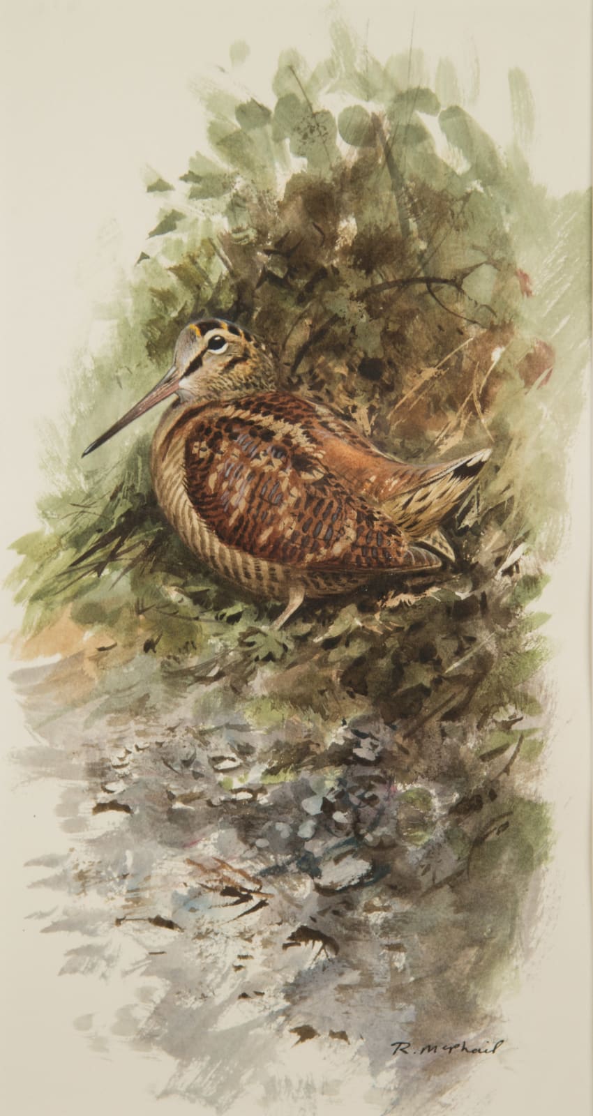 Rodger McPhail, Woodcock