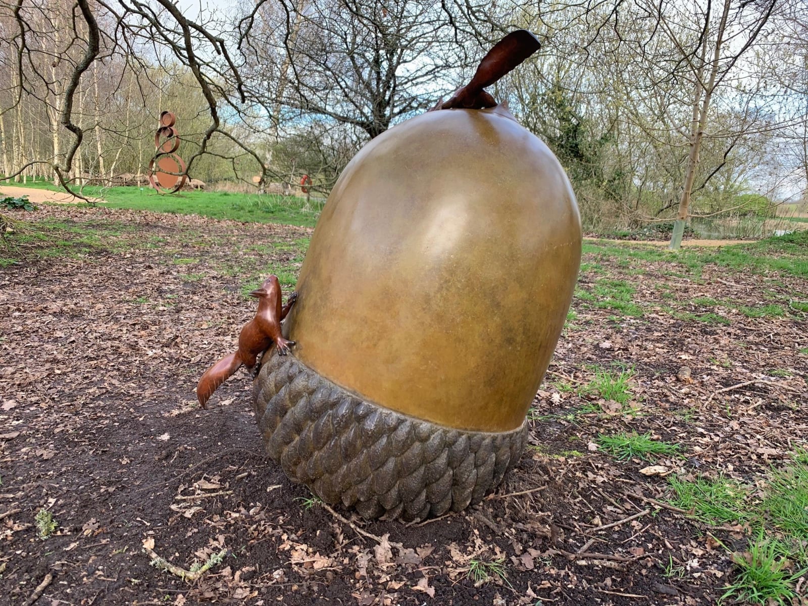 Adam Binder, Cache Prize (Acorn), 2023