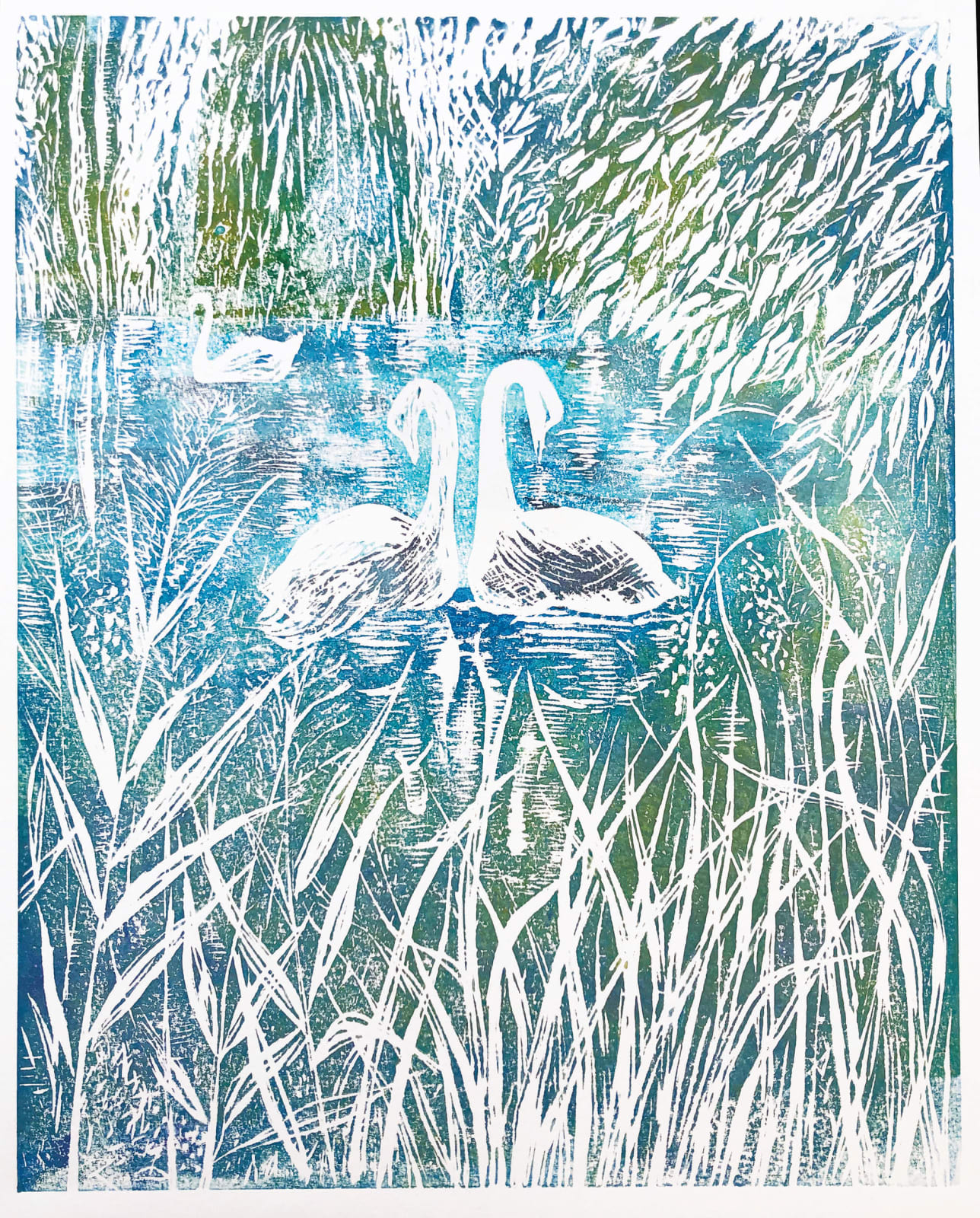 Rebecca Guyett, Swan Lakes