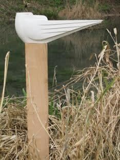 Paul Harvey, Herring Gull - , 2023