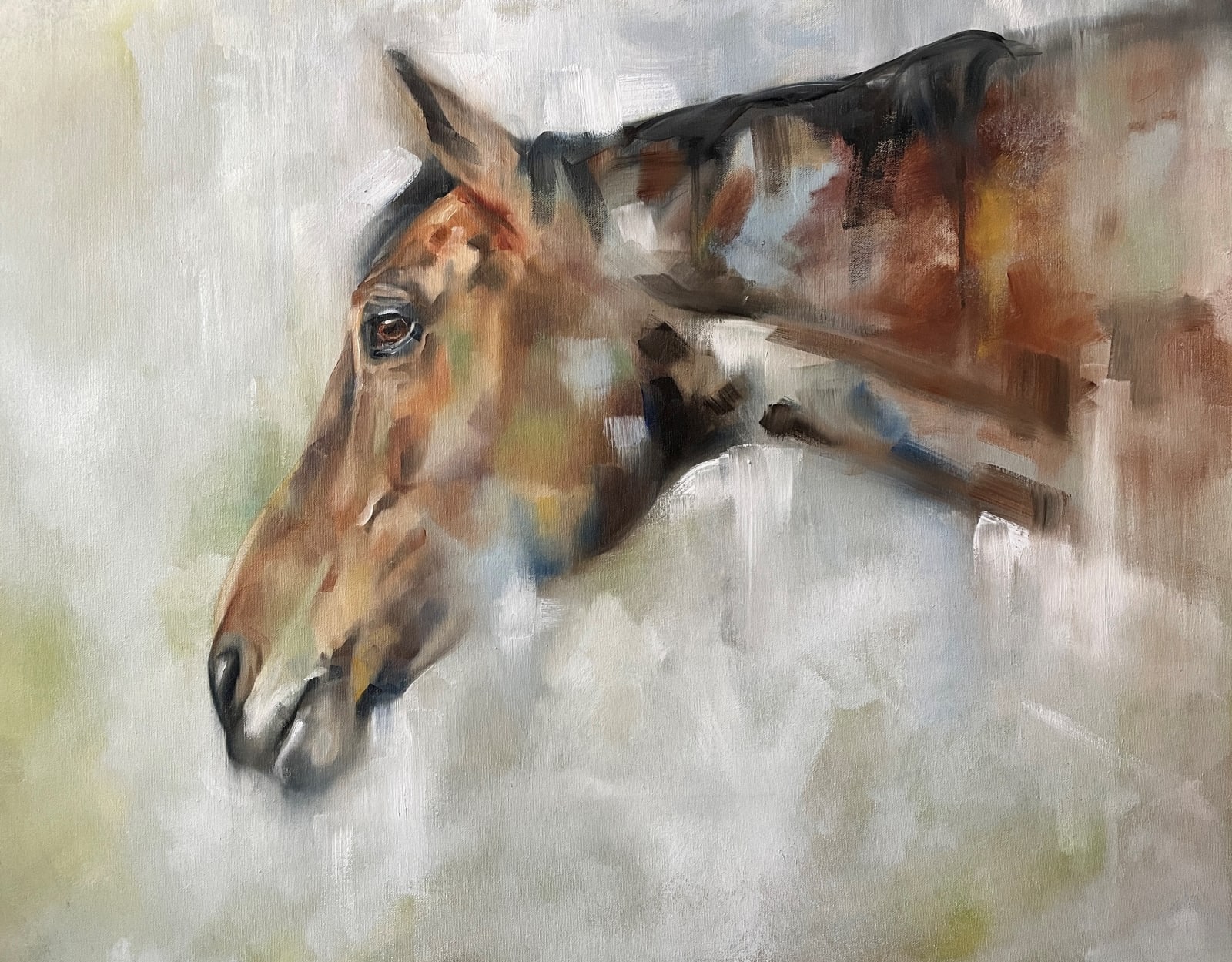 Julie Brunn, The Warmblood, 2023