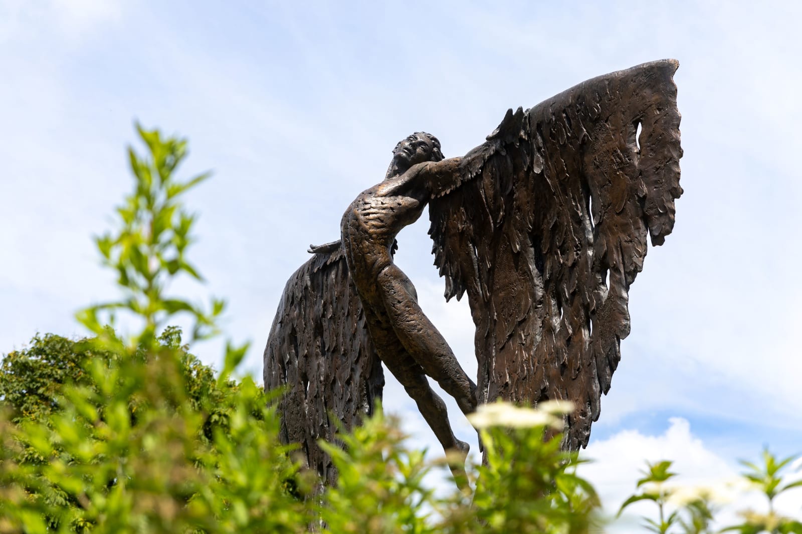 Nicola Godden, Icarus Rising , 2024