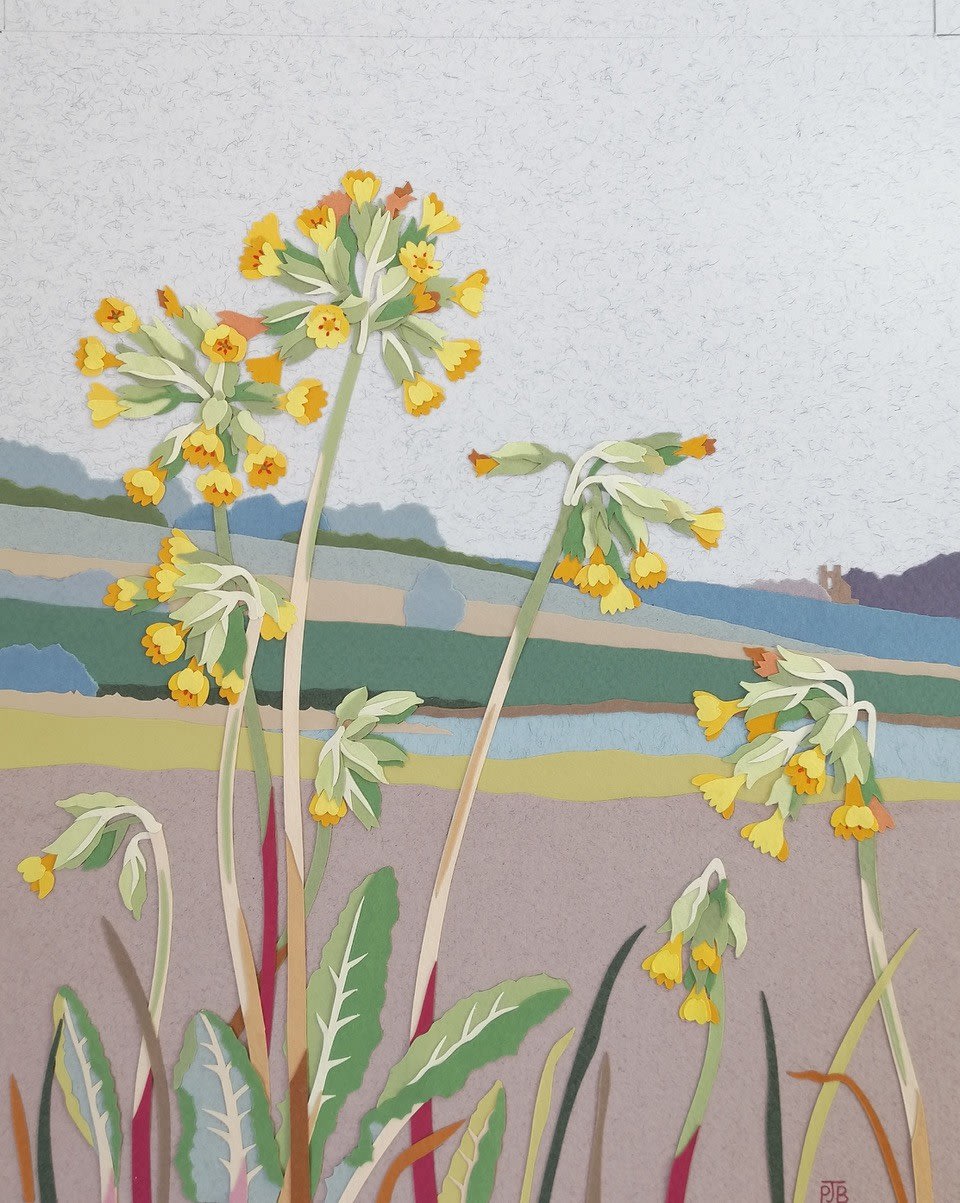 Penny Brown, Cowslips on the Marshwood Vale, 2025