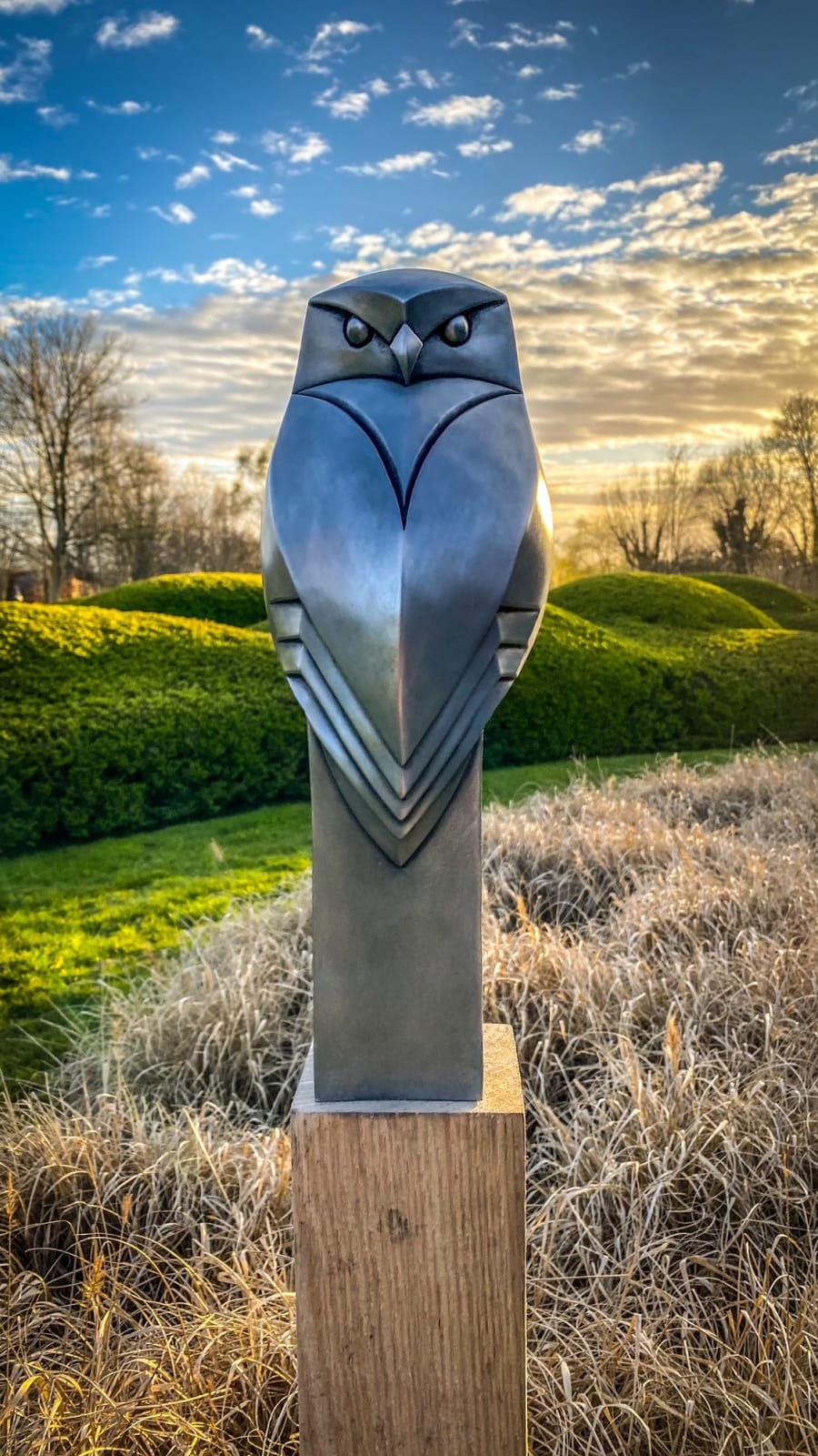 Paul Harvey, Little Owl, 2024
