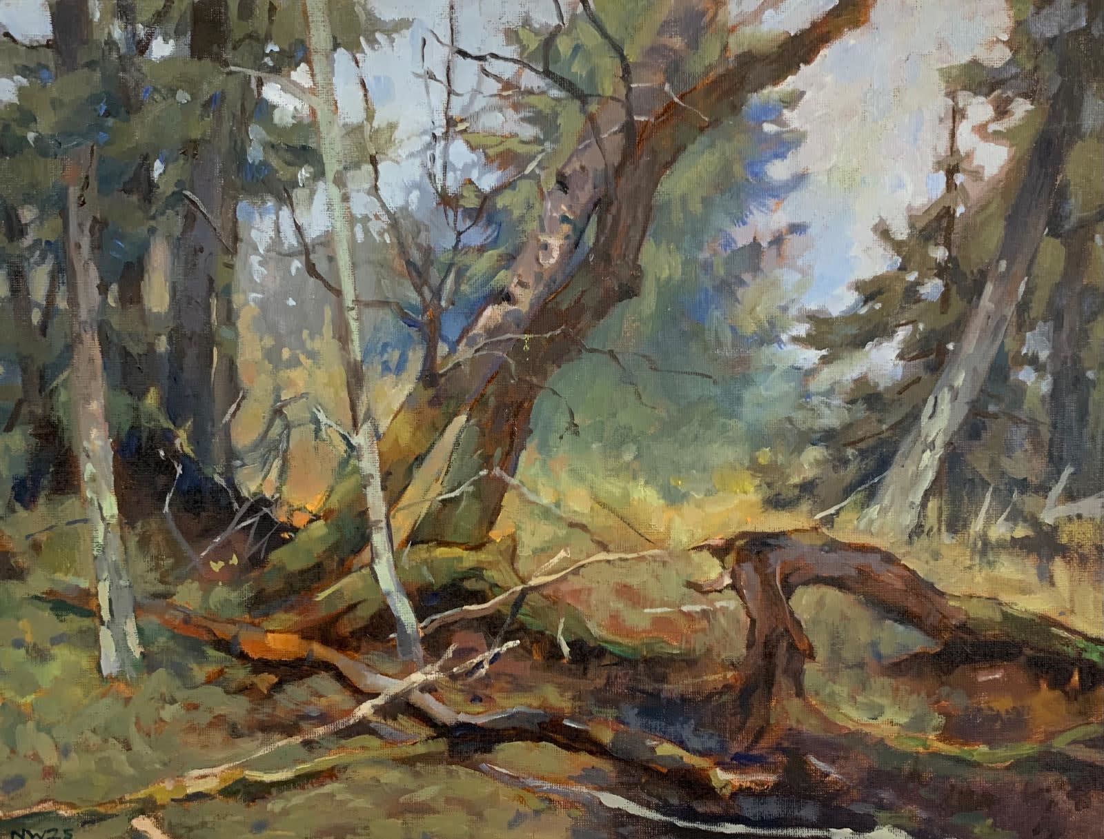 Noah Warnes, Wilderness, 2025