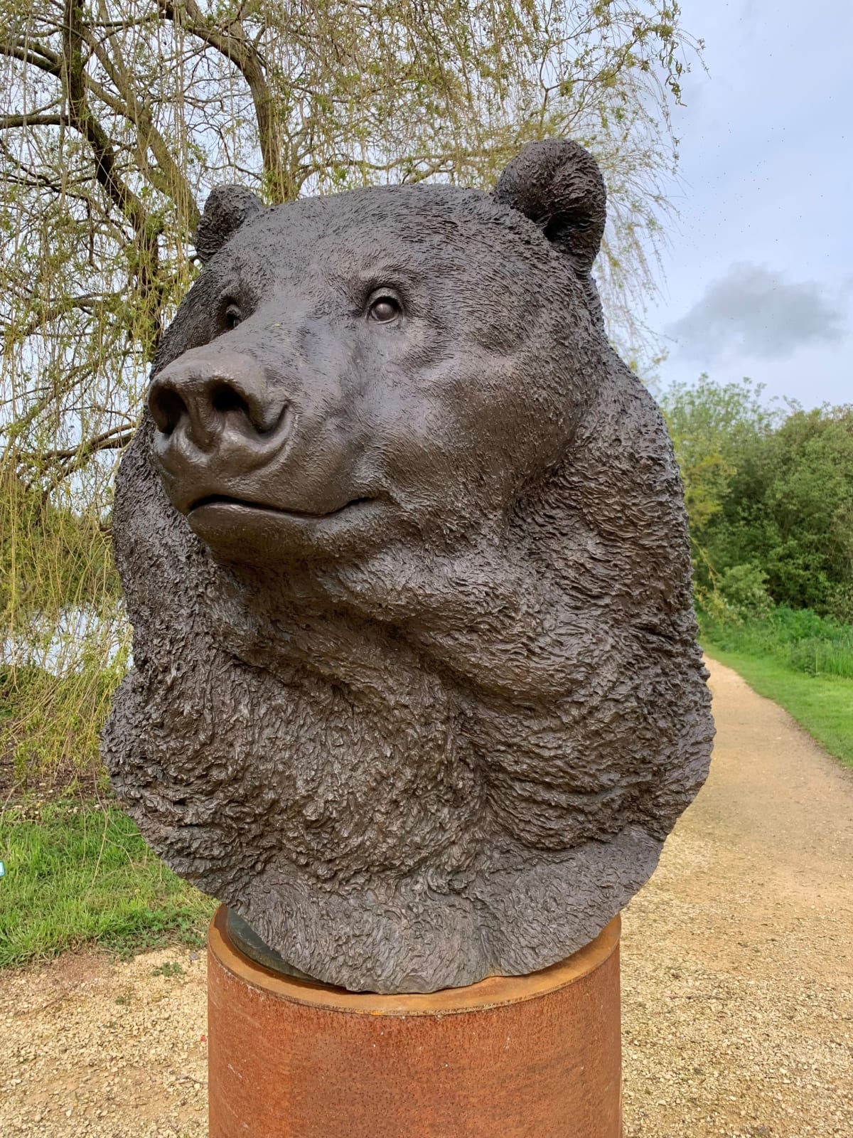 Nick Bibby, Kodiak Brown Bear (Indomitable – Head Study)