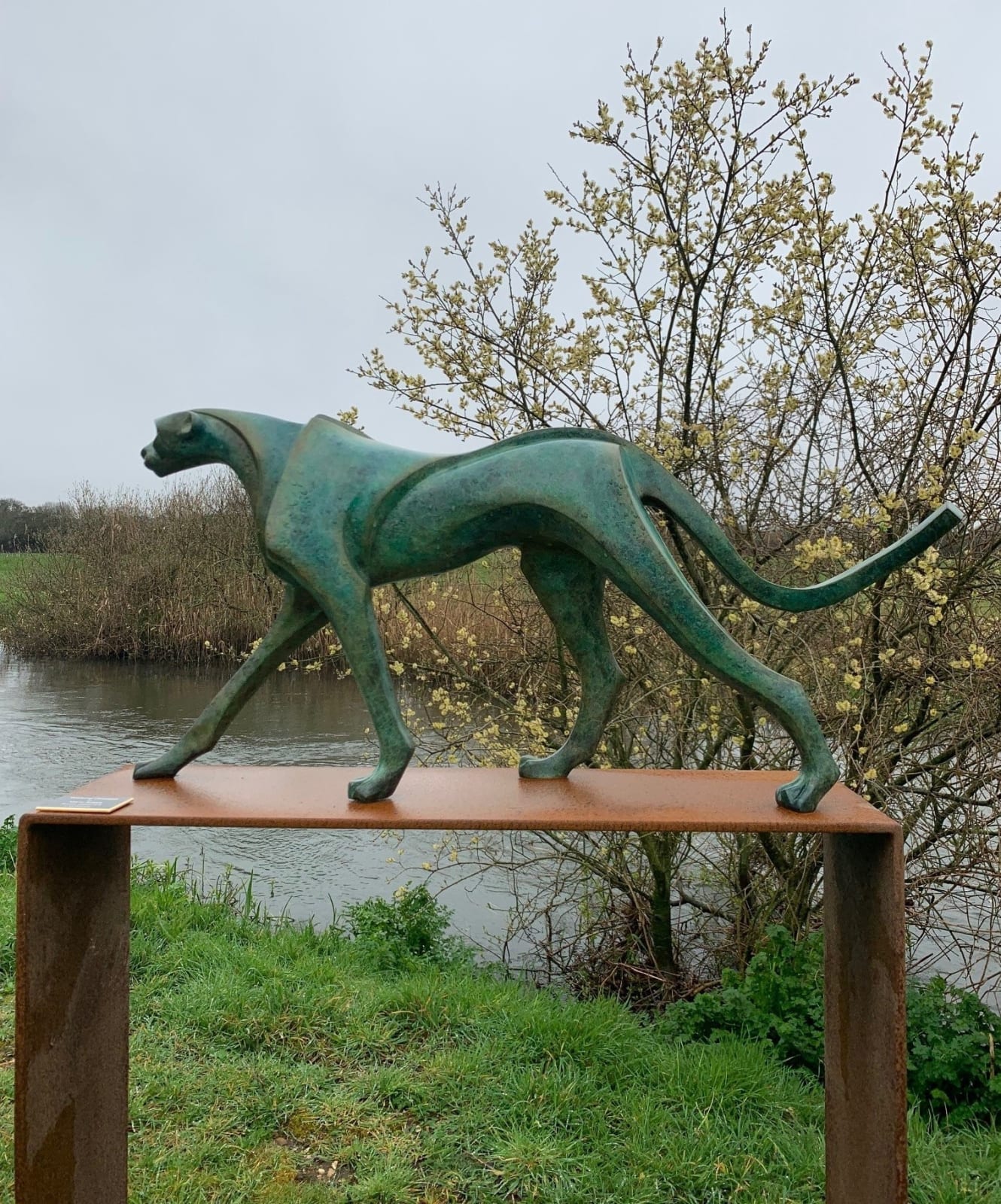 Marie Ackers, Walking Cheetah , 2022