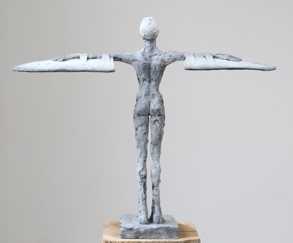 Carol Peace, Plain Girl