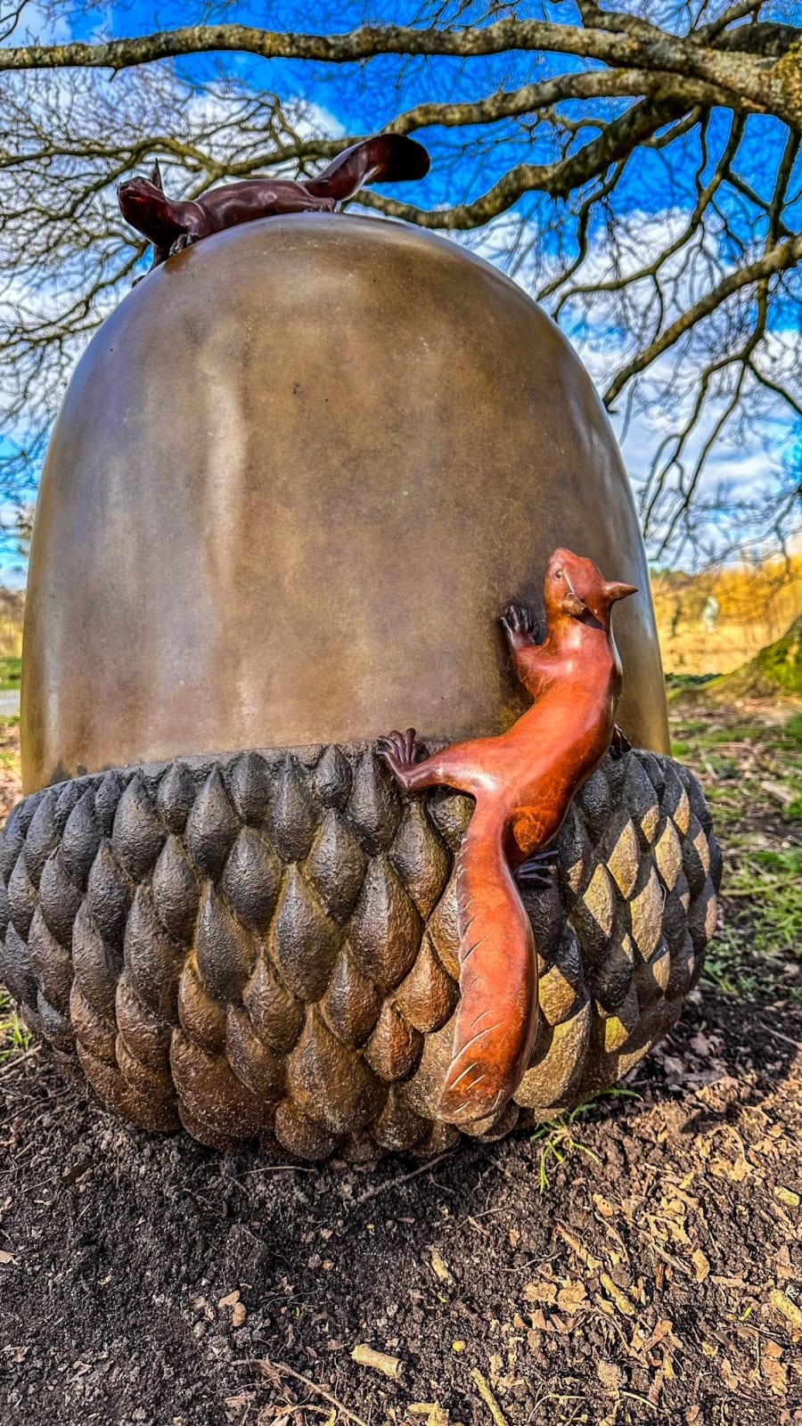 Adam Binder, Cache Prize (Acorn), 2023