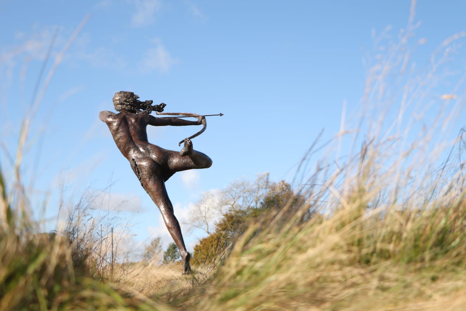 David Williams-Ellis, Diana The Huntress