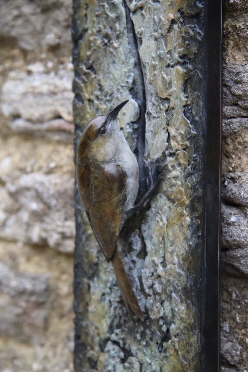 Adam Binder, Tree Creeper Plaque, 2021