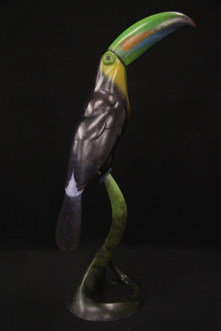 Adam Binder, Keel Billed Toucan, 2024